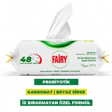 Fairy